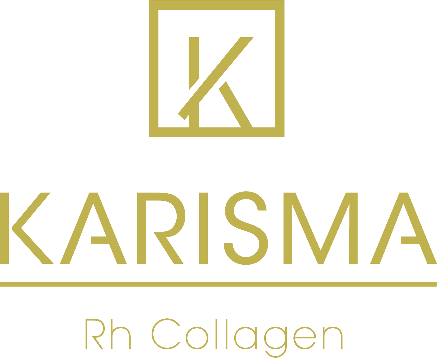 Karisma logo